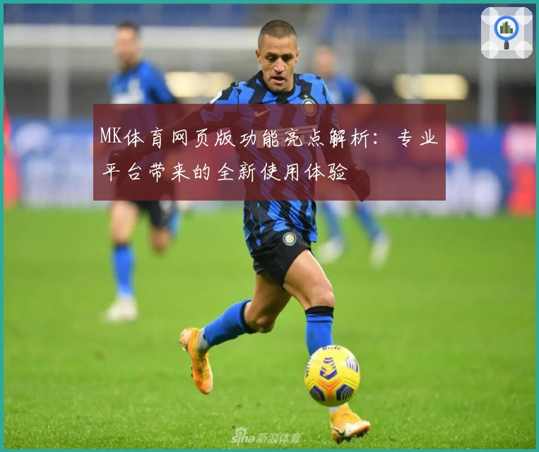 MK体育网页版功能亮点解析：专业平台带来的全新使用体验